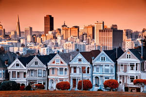 Residential San Francisco Skyline Wallpaper