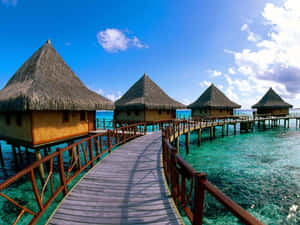 Resort Beach Huts Bridge Wallpaper