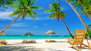 Rest And Relaxation By A Tropical Beach Wallpaper