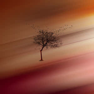 Restless Birds Artwork Wallpaper