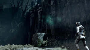 Returnal Mysterious Forest Encounter Wallpaper