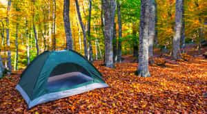 Revel In The Autumn Glow: Fall Camping Adventure Wallpaper