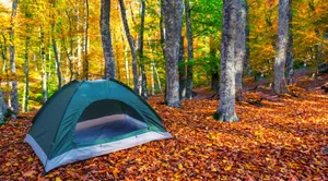 Revel In The Autumn Glow: Fall Camping Adventure Wallpaper