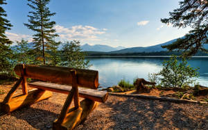 Revitalizing With Nature Wallpaper