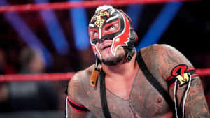 Rey_ Mysterio_ Wrestling_ Pose Wallpaper