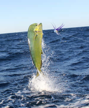 Rhythmic Dance Of The Intertidal Waves Wallpaper