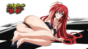 Rias Gremory In A Bikini Wallpaper