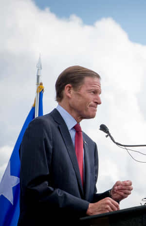 Richard Blumenthal Beneath The Cloudy Blue Sky Wallpaper