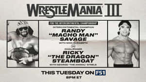 Ricky Steamboat Poster With Macho Man Wallpaper