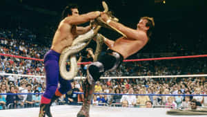 Ricky Steamboat Versus Jake Roberts Wallpaper