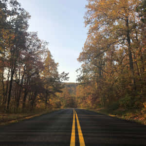 “ride Through The Mountains On The Blue Ridge Parkway” Wallpaper