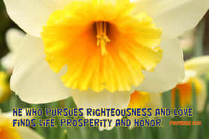 Righteous And Love Verse Wallpaper