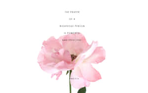 Righteous Person Prayer Wallpaper