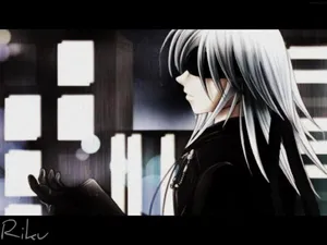 Riku's Journey In Kingdom Hearts Wallpaper