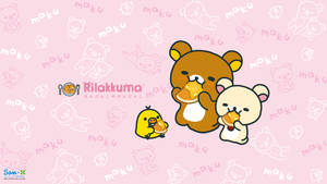Rilakkuma Honey Pudding Wallpaper