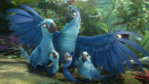 Rio 2 Blu And Family Wallpaper