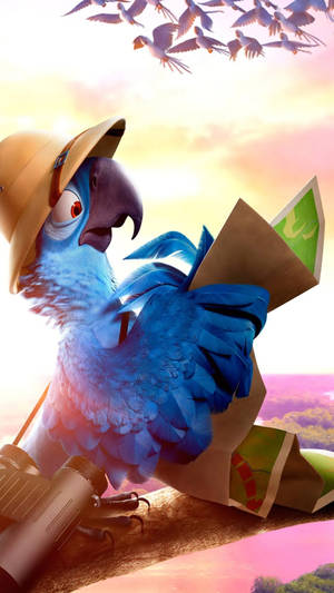 Rio 2 Blu Checking Map Wallpaper