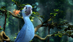 Rio 2 Jewel And Flower Wallpaper