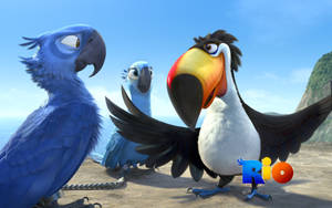 Rio 2 Rafael Wallpaper