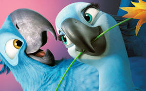 Rio 2 Romantic Couple Wallpaper