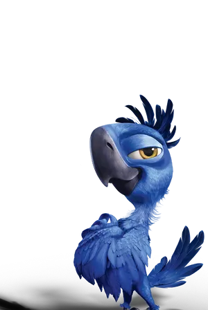 Rio Smug Tiago Wallpaper