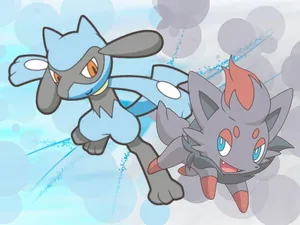 Riolu And Zorua Wallpaper