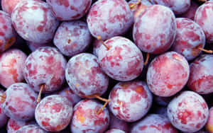 Ripe Indigo Italian Prune Plums Wallpaper