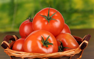 Ripe Tomato Fruits On Basket Wallpaper