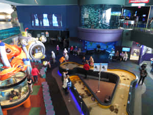 Ripleys Aquarium Interactive Zone Wallpaper