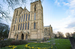 Ripon Cathedral Springtime Wallpaper