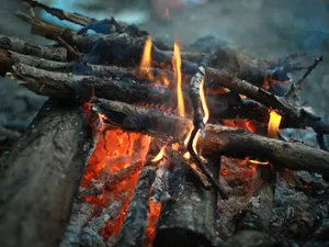 Rippling Layers Of Green And White Wallpaper