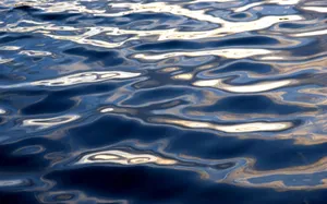 Rippling Water Reflections.jpg Wallpaper