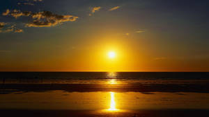 Rising Sun With Golden Light Glimmer Wallpaper