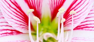 Road Leading To The City Lights Wallpaper