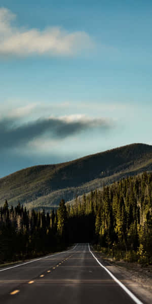 Road_to_ Mountain_ Forest_ Scenery Wallpaper