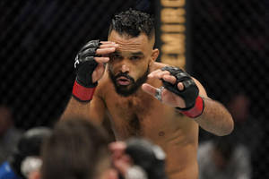 Rob Font Close-up Wallpaper