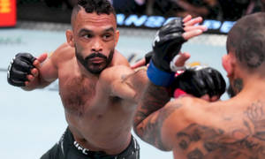 Rob Font Punch Blocked Wallpaper