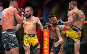 Rob Font Vs Marlon Vera Collage Wallpaper