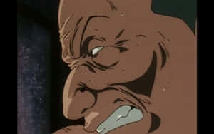 Robust Zebro From Hunter X Hunter Show Wallpaper