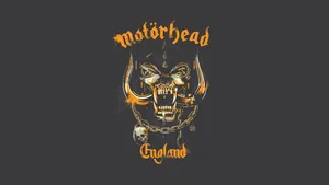 Rock And Roll - Feel The Music Wallpaper