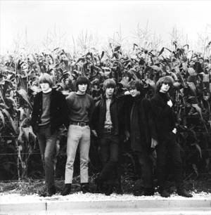 Rock Band Legend The Byrds Wallpaper