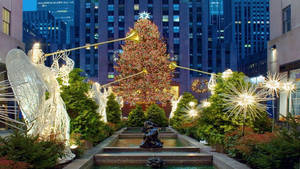 Rockefeller Center Garden During Christmas Wallpaper