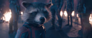 Rocket Raccoon Guardians Galaxy3 Wallpaper