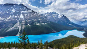 Rocky Mountains Peyto Lake Banff National Park Wallpaper