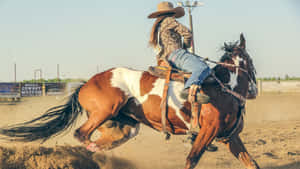 Rodeo Cowgirl Riding A Horse Wallpaper