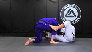 Roger Gracie Practicing Brazilian Jiu-jitsu In Studio Wallpaper