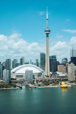 Rogers Centre And Cn Tower View Wallpaper