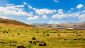Rolling Farmland With Hay Bales Wallpaper