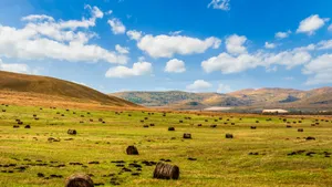 Rolling Farmland With Hay Bales Wallpaper