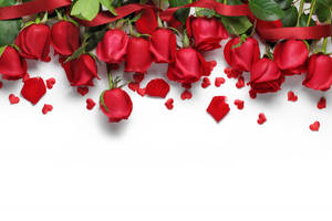 Romantic Love Flowers Of Fresh Roses Wallpaper